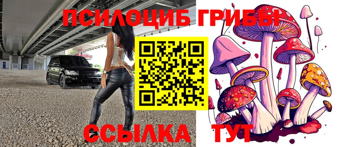 Псилоцибиновые грибы Psilocybe Наро-Фоминск