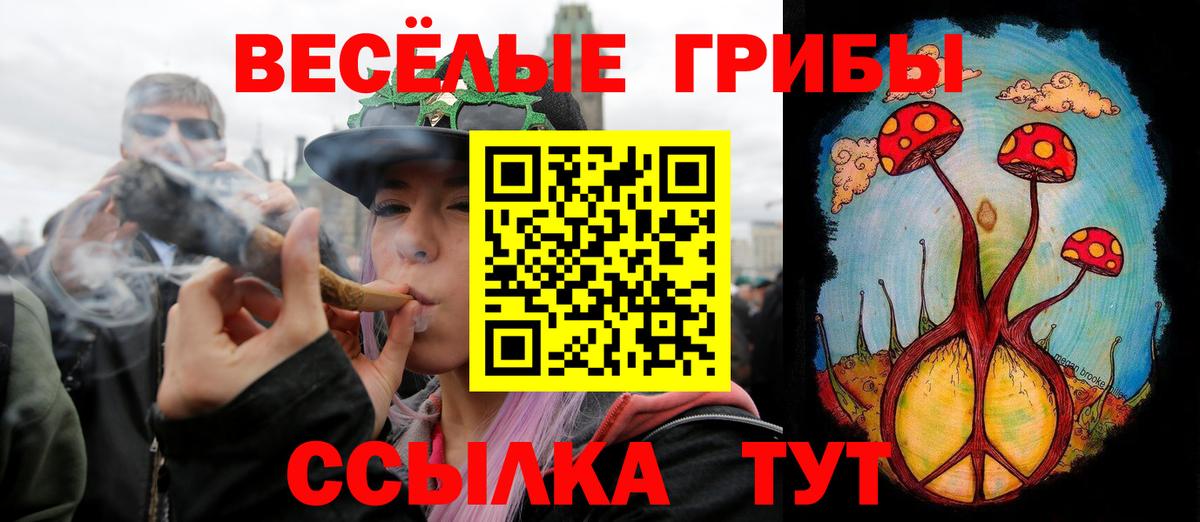 Галлюциногенные грибы Magic Shrooms  Галлюциногенные грибы Psilocybe  Наро-Фоминск  Вход с VPN 
